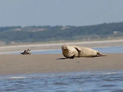 Apartment Au Bord De *
